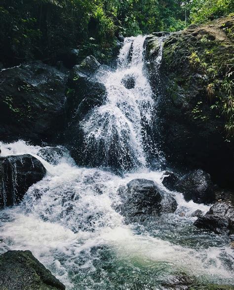Nature Sights to Uncover in the Progressive Crown .